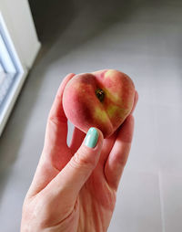 Cropped hand of woman holding apple