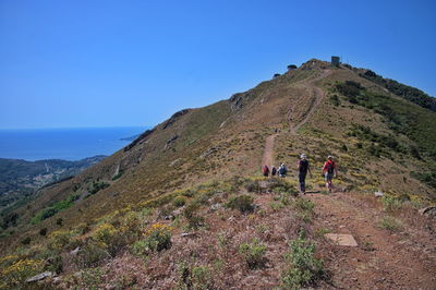 Group of hikers hiking on elba island in italy