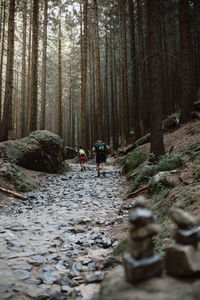 Rear view of people walking on footpath in forest