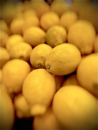 Fresh lemons for everyday 