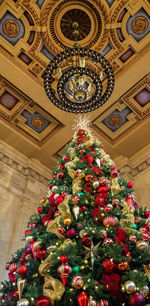 Low angle view of christmas tree