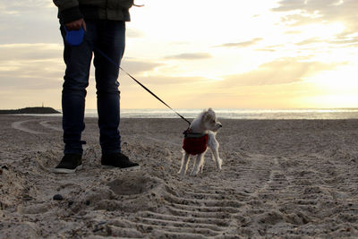 Men standing on beach against sky during sunset