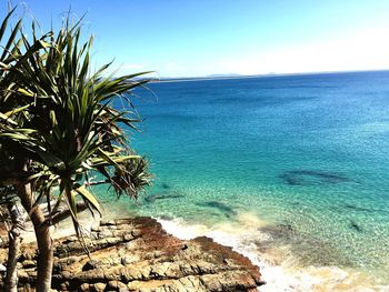 Scenic view of sea against clear sky