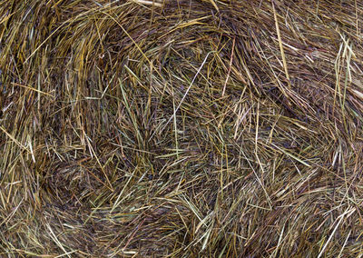 Full frame shot of hay bales on field