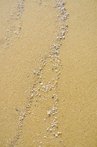 Full frame shot of sand