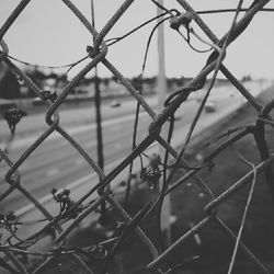 Close-up of chainlink fence