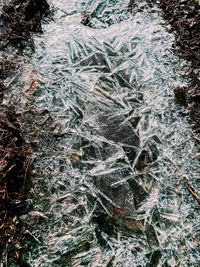 Full frame shot of frozen trees