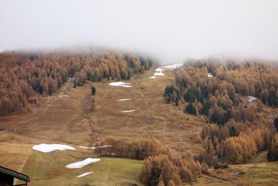 Trees on field against sky during winter