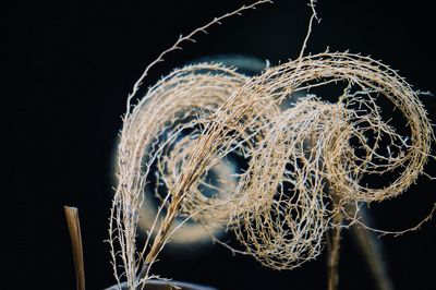 Close-up of illuminated lighting equipment against black background