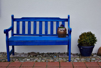 Potted plant on wall