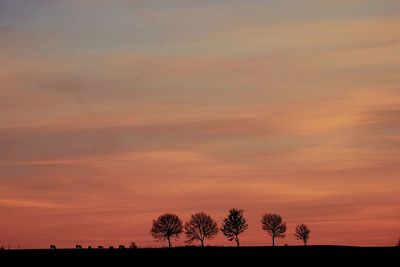 Silhouette of trees at sunset