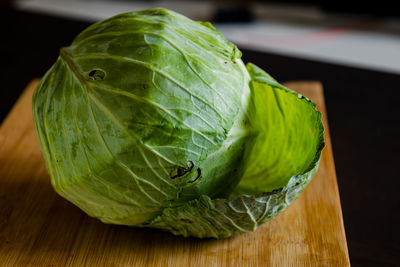 Close-up of cabbage