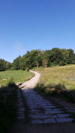 Footpath leading towards trees against clear blue sky