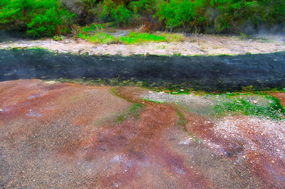 High angle view of water flowing in forest