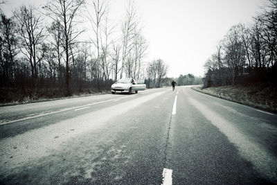 Empty road along trees