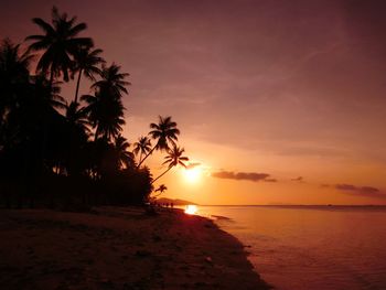 Silhouette palm trees on beach against sky at sunset