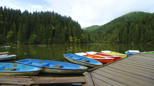 Boats moored on lake against trees