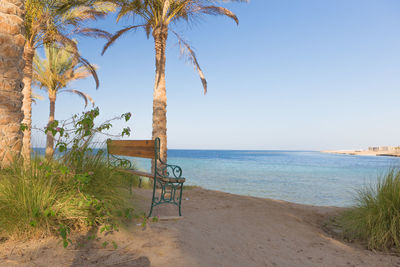 Scenic view of beach against clear sky