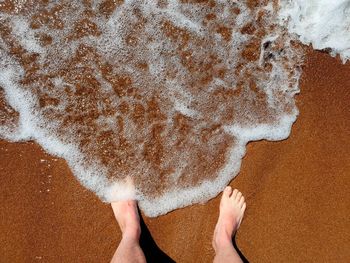 Low section of person on beach