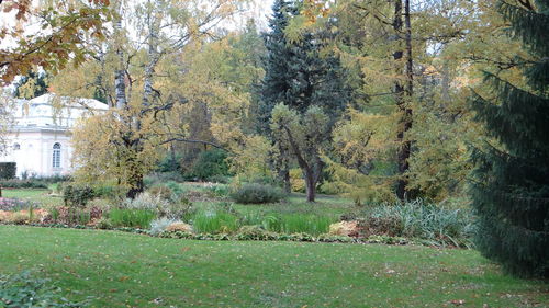 Trees in park against sky