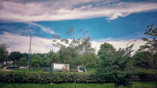 Plants growing on field against sky