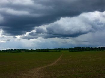 Scenic view of agricultural field against sky