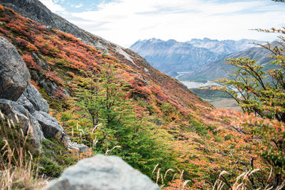 Scenic view of landscape against sky during autumn