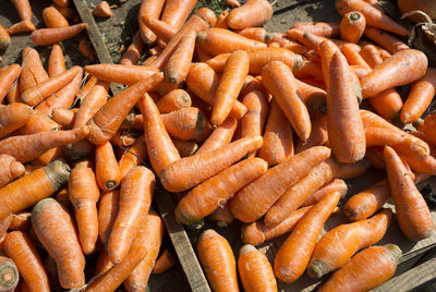 High angle view of carrots for sale at market