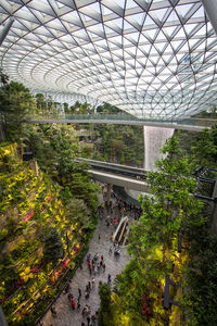 High angle view of plants in greenhouse