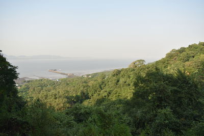 Scenic view of sea against clear sky