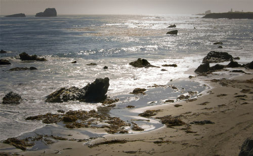 Scenic view of beach