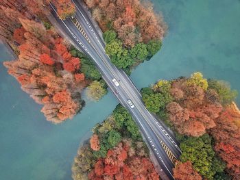 Aerial view of vehicles on bridge over river amidst autumn trees