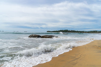 Tropical beach with palm trees. cloudy sky. arugam bay, sri lanka