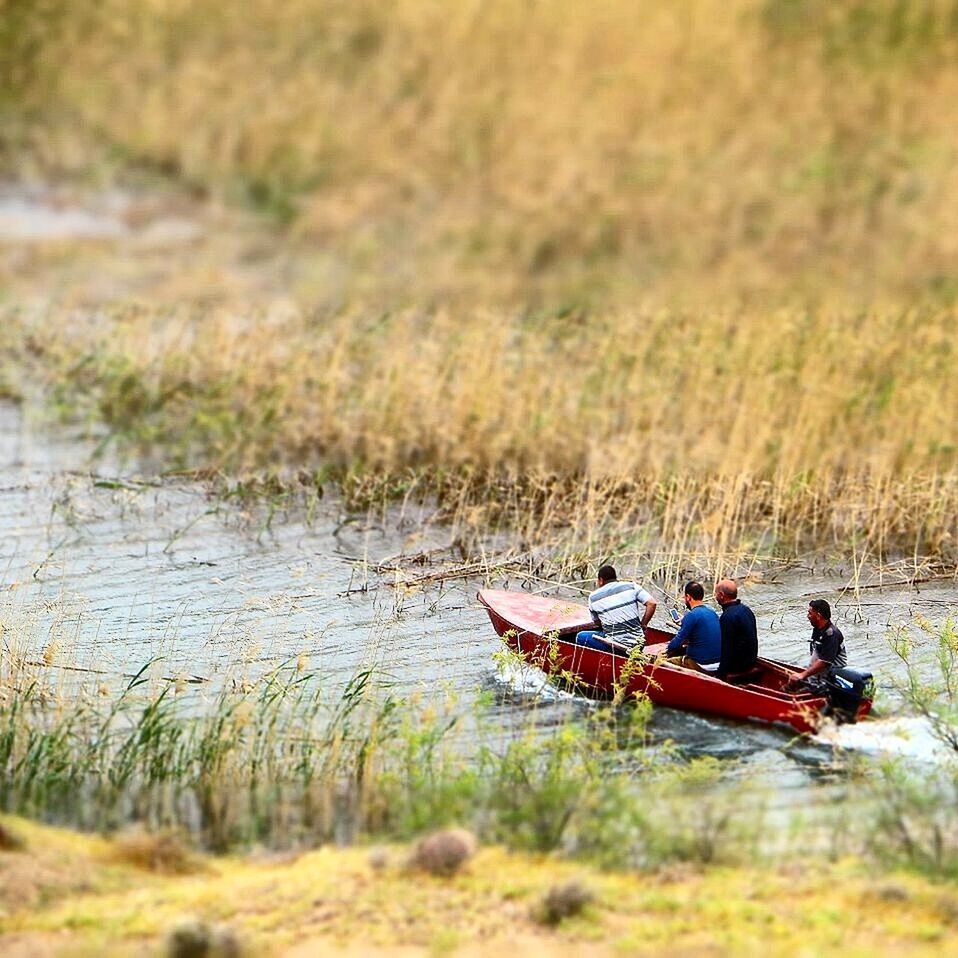 transportation, nautical vessel, mode of transport, boat, water, lifestyles, leisure activity, nature, day, tranquility, outdoors, grass, tranquil scene, beauty in nature, selective focus, scenics