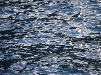 Full frame shot of swimming in lake