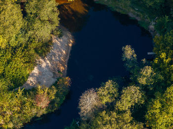 nature