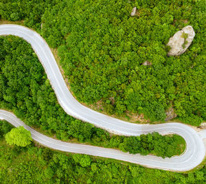 A captivating aerial perspective of a curved road amidst a vibrant and verdant forest