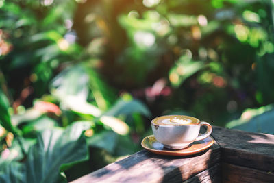 Close-up of coffee cup on wood outdoors