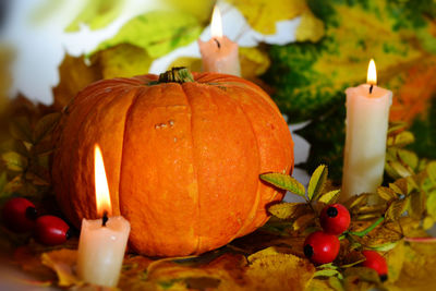 Close-up of pumpkin