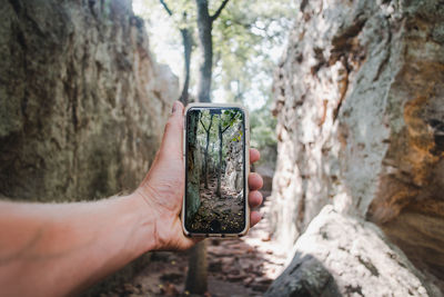 Cropped hand photographing trees and rocks with smart phone