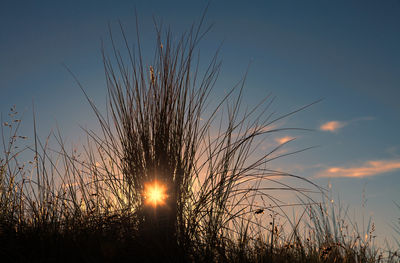 Scenic view of sky during sunset