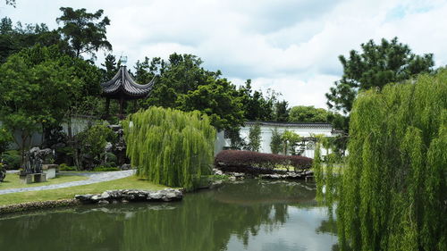 Scenic view of lake against trees and sky