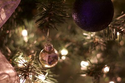 Low angle view of illuminated christmas tree