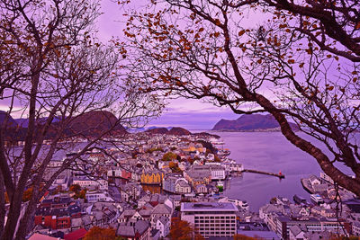 Bare tree and buildings in town against sky during winter