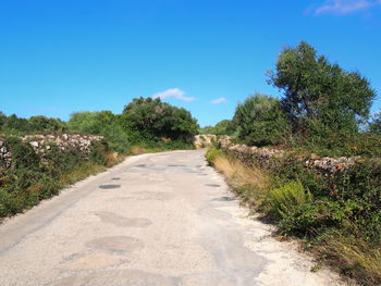 Empty road along plants and trees against blue sky