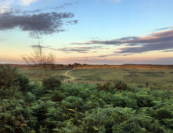 View of landscape against cloudy sky