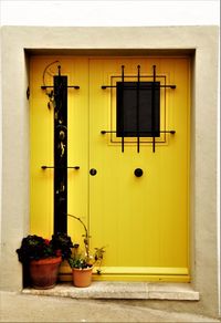 Yellow potted plant on window of building