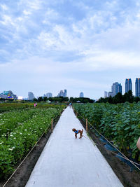 Scenic view of city buildings against sky