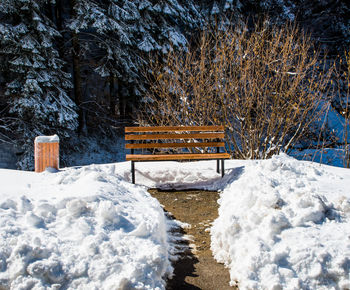 Snow covered bench by trees during winter