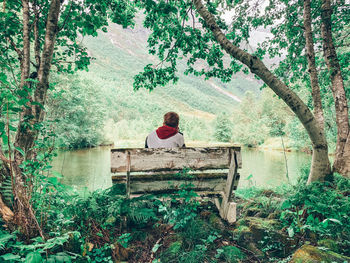 Rear view of man looking at lake while sitting on bench